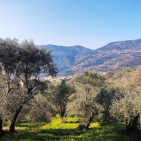 Bas De Villa. Cote D'Azur, A 20 Kms De Nice Contes  Kültér fotó
