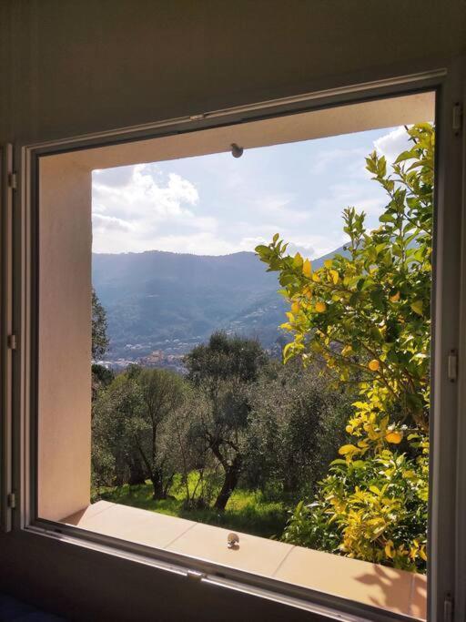 Bas De Villa. Cote D'Azur, A 20 Kms De Nice Contes  Kültér fotó
